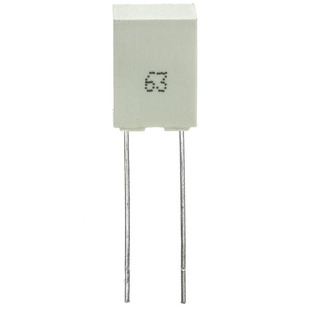 R82EC3100DQ70J Image