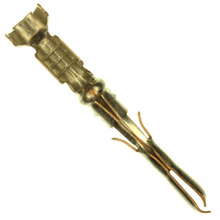 640545-1 Image